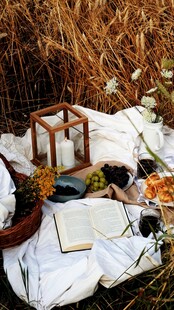 户外野餐布置的温馨场景