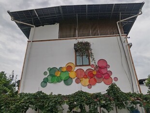 彩色花朵墙绘的白色建筑