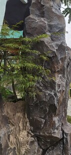 陡峭山崖边的绿植景观