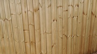 浅色木质纹理墙面