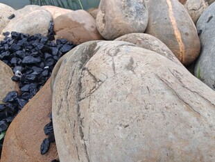 河边形态各异的光滑石头