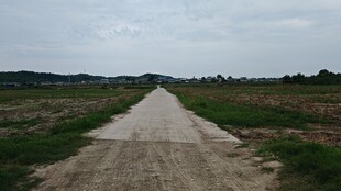 乡间土路延伸向远方