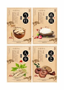 中国风中药文化展板