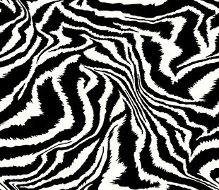 黑白斑马纹抽象图案