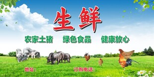 生鲜土猪海报素材