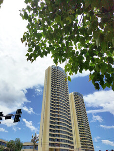 城市高楼与绿树蓝天景观