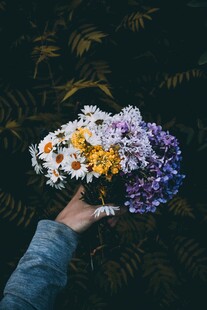 手捧多彩鲜花