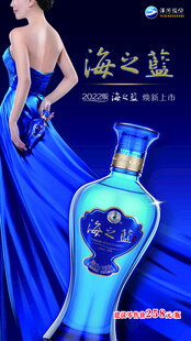 优雅蓝裙与海之蓝酒瓶