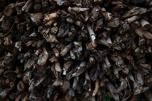 黑色木柴