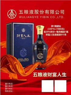 五粮液酒袋子包装