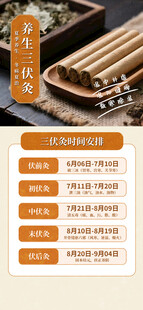 三伏灸