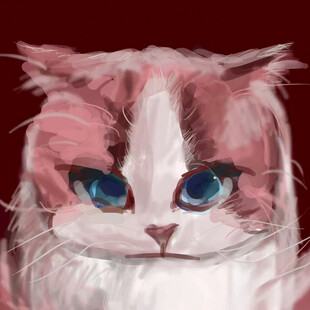 可爱蓝眼粉白猫咪插画
