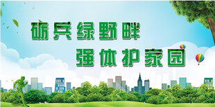 城市绿地 守护美好家园