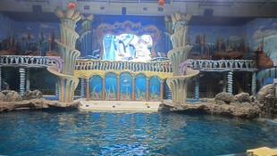 海洋馆
