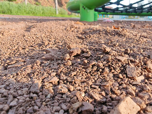 翻耕后的褐色土壤