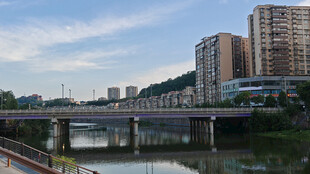 城市河畔桥梁与高楼景观