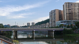 城市河畔桥梁与高楼景观