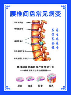 腰椎间盘常见病变图示