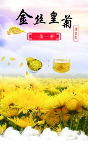 皇菊