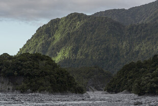 山间河流旁的葱郁景致