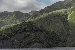 青山葱郁的壮美自然景观