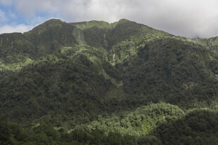 翠绿山峦 云雾缭绕之景