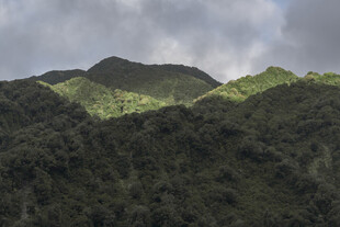 翠绿山峦云雾缭绕
