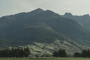 壮丽山峦与山下植被景观