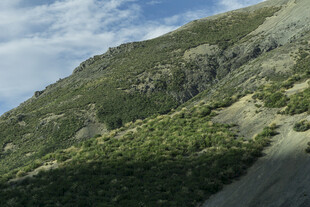 青山绿意 山间景致