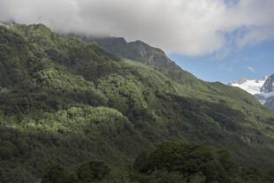 青山葱郁间的自然美景