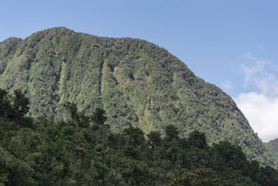 巍峨青山绿意浓
