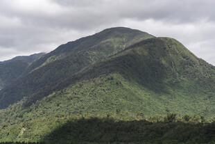 翠绿山峦云雾缭绕美景