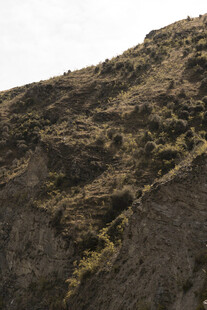 陡峭山坡上的稀疏植被