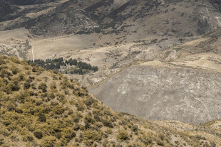 山地景观 植被覆盖的山坡