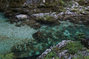 清澈山间溪流 水底景致