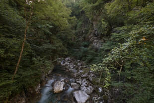 山林间的潺潺溪流