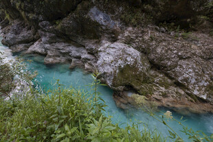 山间碧溪 绿意环绕之景