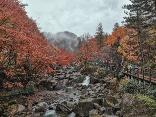 雨雾光雾山