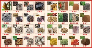 中药材大全