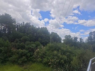 蓝天白云下的葱郁山林