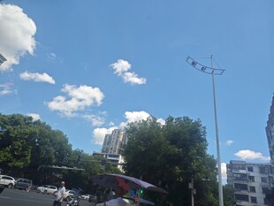 城市蓝天绿树景象