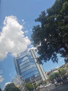 城市蓝天高楼与绿树景观