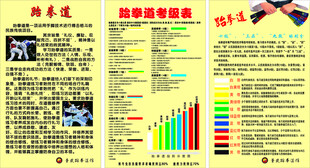 跆拳道宣传海报