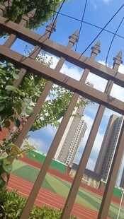 透过栏杆看多彩户外场景