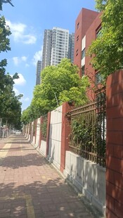 城市中静谧的红砖小巷