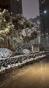 雪夜城市街道静谧景象