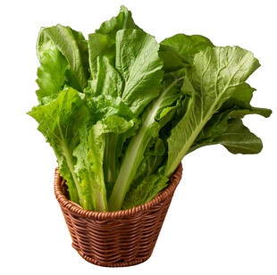 时蔬小白菜PNG免抠素材