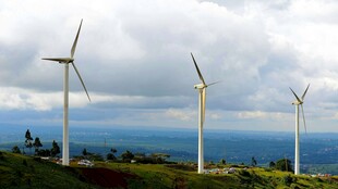 海上风力发电机组景观