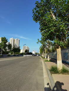 城市街道绿树蓝天景象