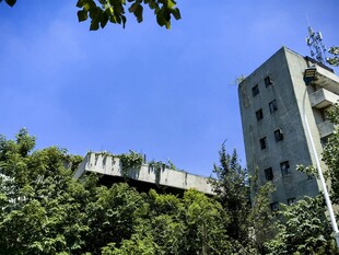 废弃高楼被绿植环绕